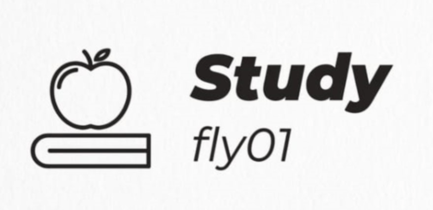 studyfly01.com Logo